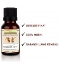 Happy Green Angelica Root Essential Oil