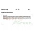 Happy Green Moringa Oil - Minyak Biji Kelor Kelorina