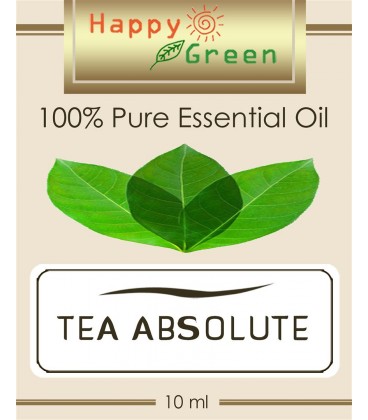 Happy Green Tea Absolute (10ml) - Minyak Absolute Teh