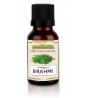 Happy Green Brahmi Oil - Minyak Centella asiatica dan Bacopa Oil
