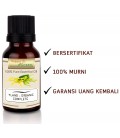 Happy Green ORGANIC Ylang Ylang Essential Oil - Ylang Oil Complete