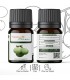 Happy Green Tamanu Oil (30 ml) - Minyak Tamanu Murni 100% Natural