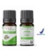 Happy Green Cajeput Essential Oil ( 10 ml) - Minyak Kayu Putih