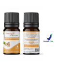 Happy Green Nutmeg Essential Oil (10 ml) - Minyak Pala