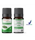 Happy Green Piper Betel Leaf Essential Oil - Minyak Daun Sirih