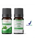 Happy Green Basil Essential Oil - Minyak Daun Kemangi