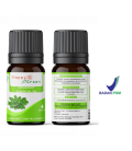 Happy Green Spearmint Essential Oil - Minyak Spermint
