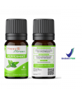 Jual Happy Green Peppermint Essential Oil - Minyak Esensial Aroma Mint