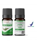 Happy Green Eucalyptus Essential Oil - Minyak Ekaliptus