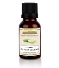 Happy Green Gurjun Balsam Essential Oil (10 ml) - Minyak
